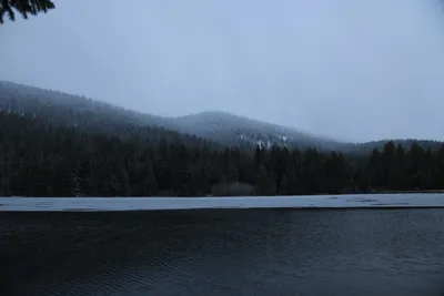 DSC_5810 (Large).JPG